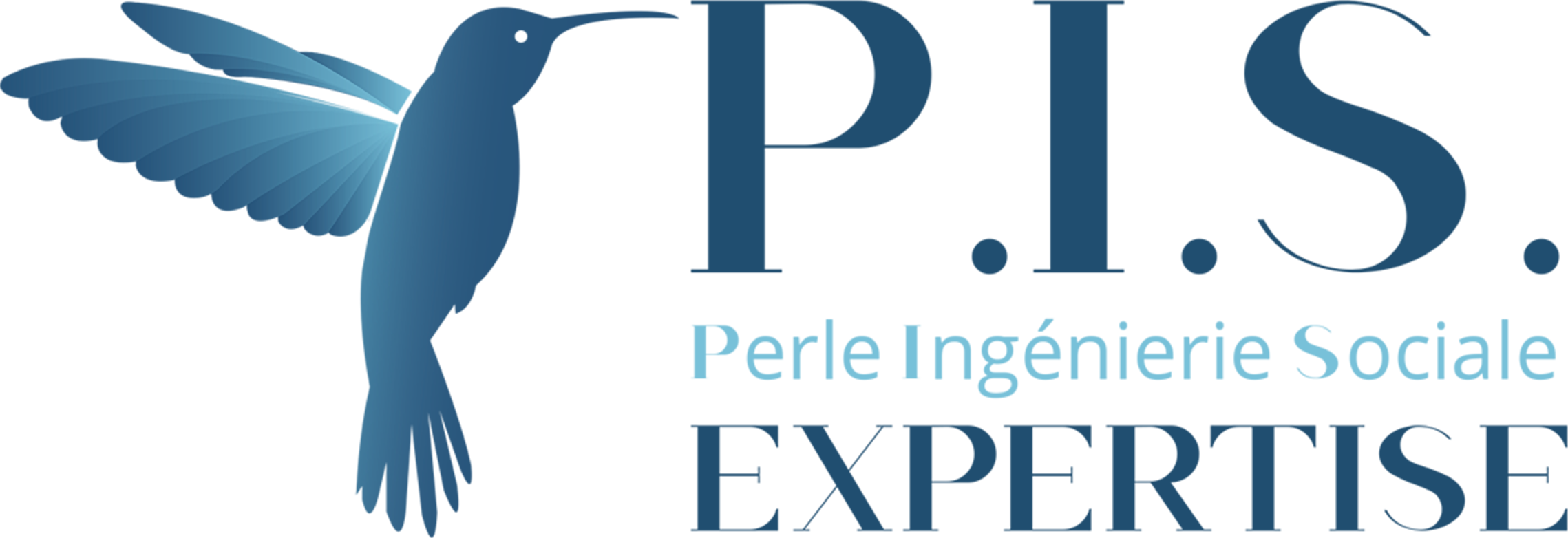 LOGO PIS Expertise